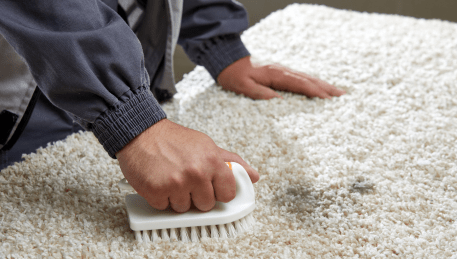 Professional Rug Cleaning Banyule