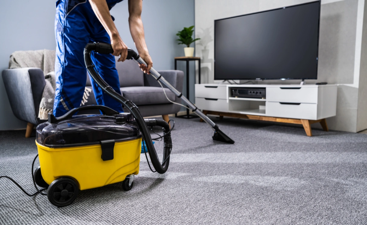Extract Rug Cleaning Banyule Contact Office